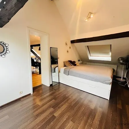 Le Loft De - Chateau Des Thermes * 绍丰泰恩
