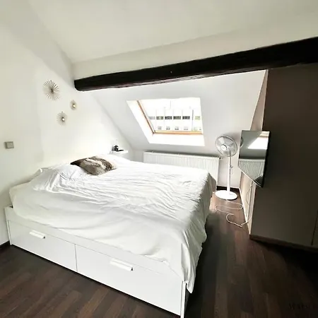 Le Loft De - Chateau Des Thermes * 绍丰泰恩