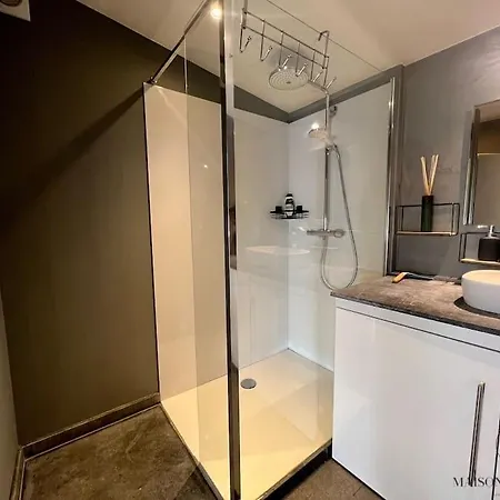 Le Loft De - Chateau Des Thermes 公寓 *